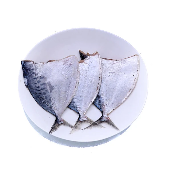HGT Moon Fish