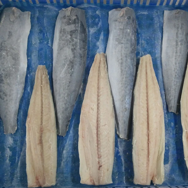 Pacific Mackerel Fillet
